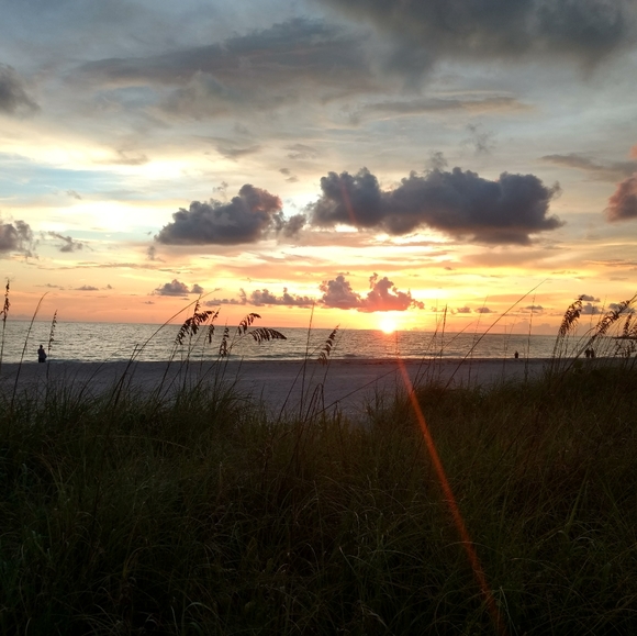 Meet your Posher, Lora - Picture 1 of 1